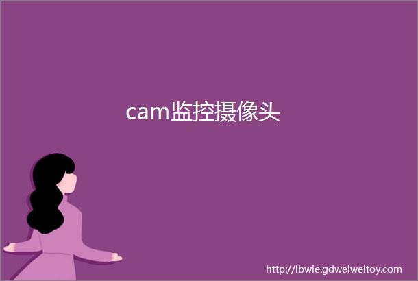 cam监控摄像头